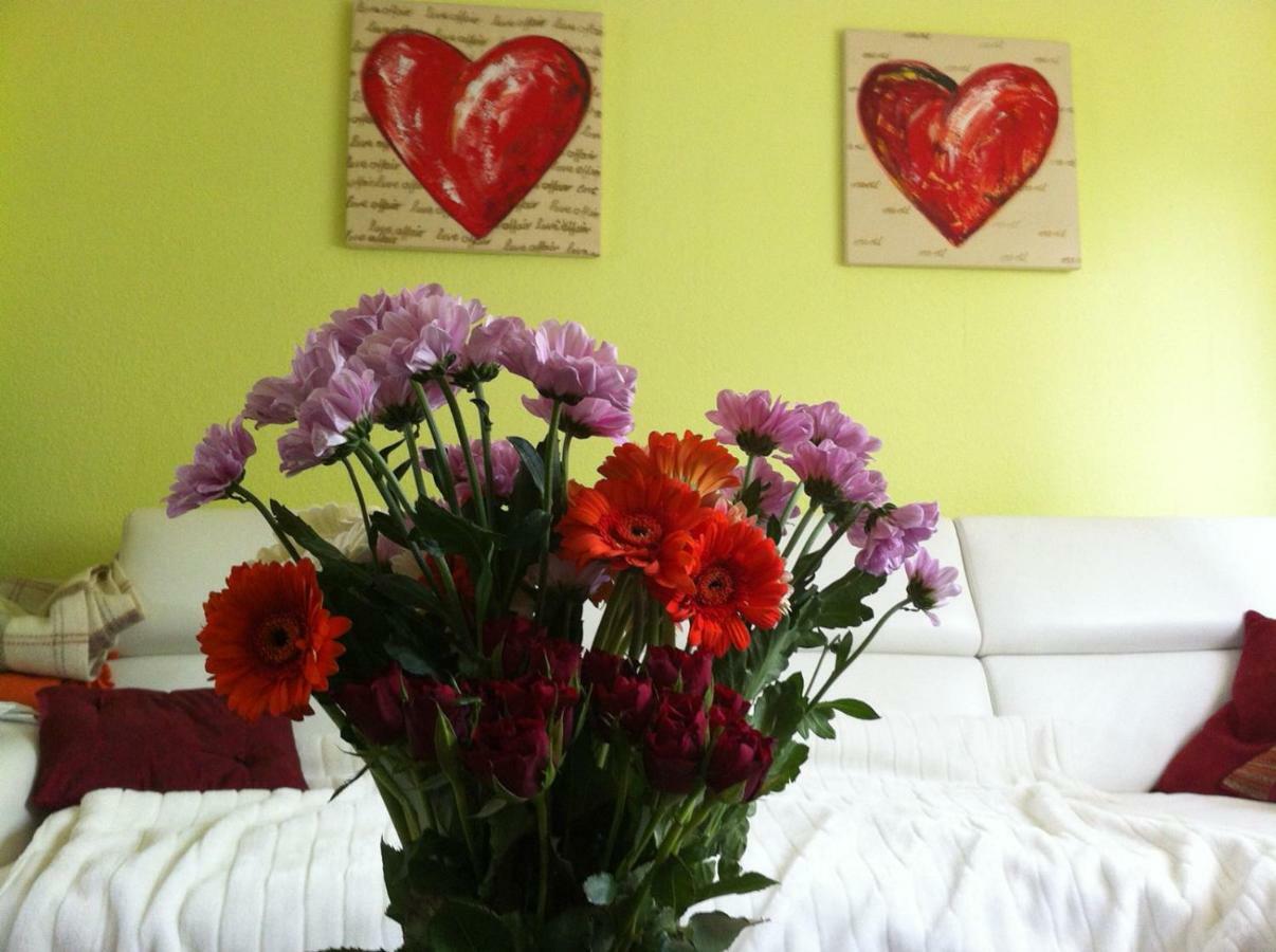 Appartement Traumhaftes In Ohler