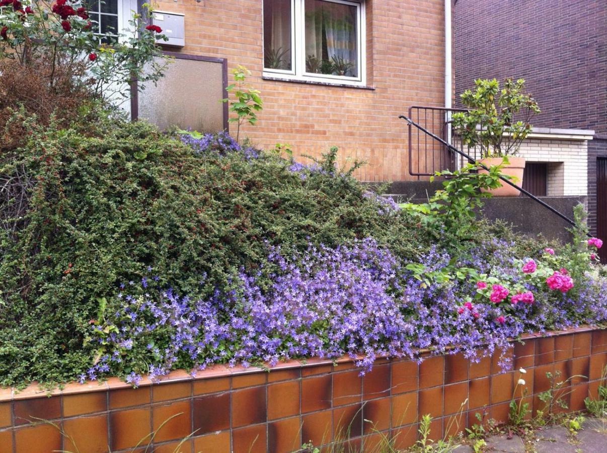 Traumhaftes In Ohler Appartement *